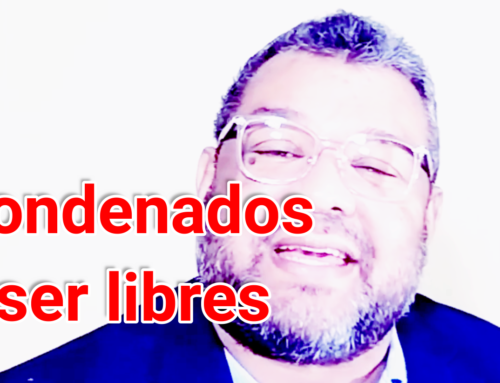 Condenados a ser libres